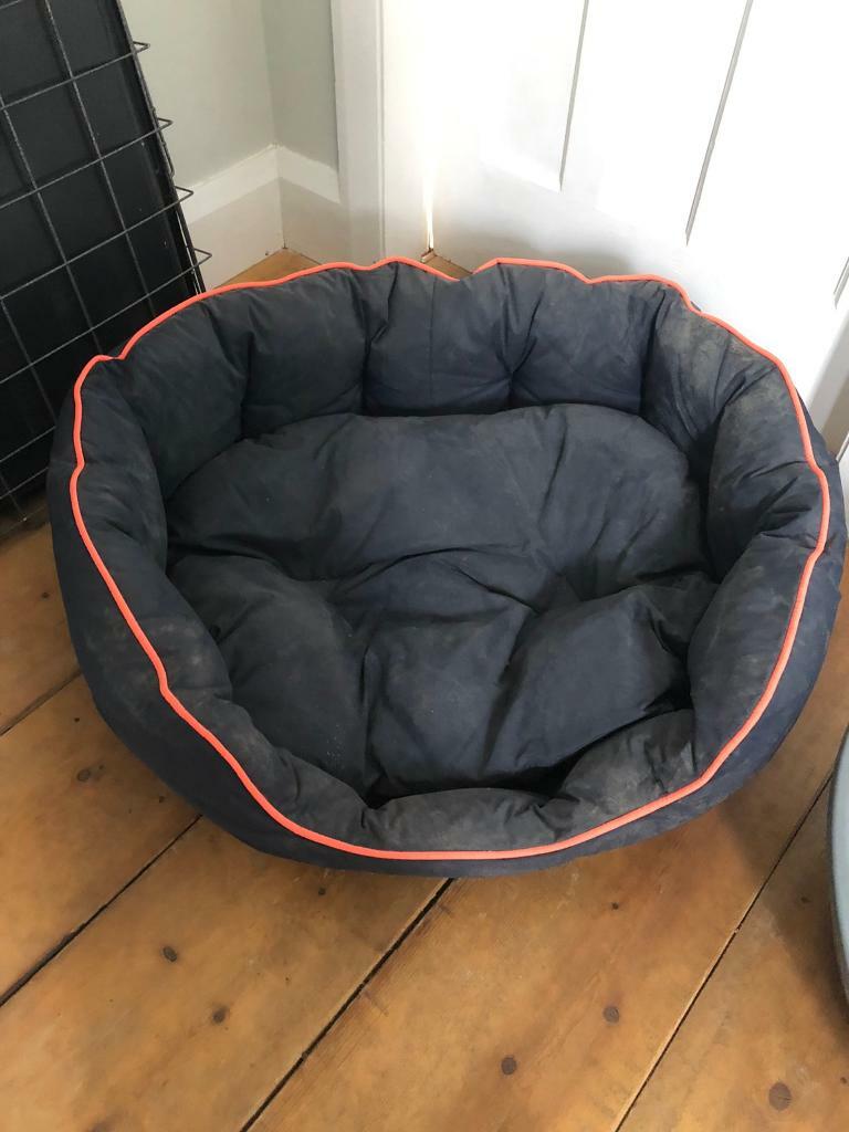 3 peaks dog mattress